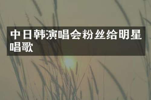 中日韩演唱会粉丝给明星唱歌