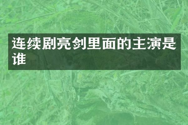 连续剧亮剑里面的主演是谁