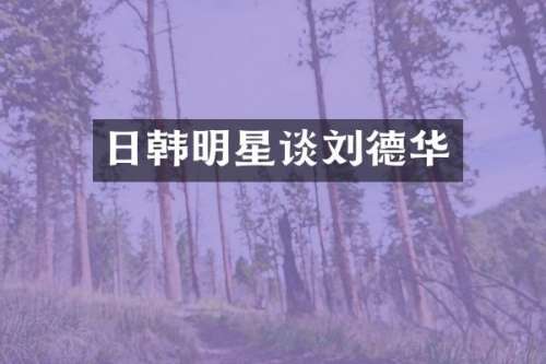 日韩明星谈刘德华