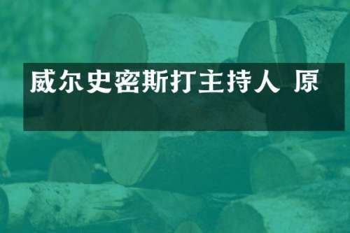 威尔史密斯打主持人 原因