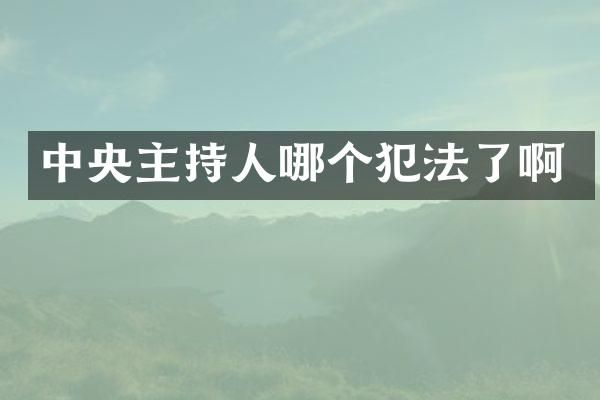 中央主持人哪个犯法了啊