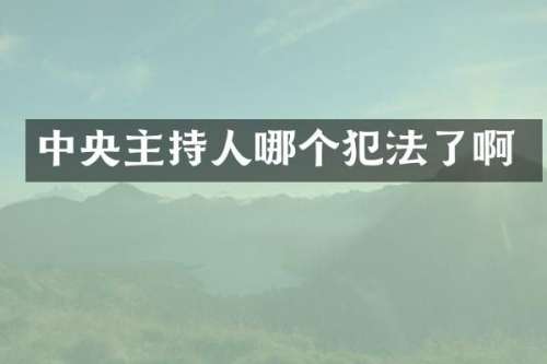 中央主持人哪个犯法了啊