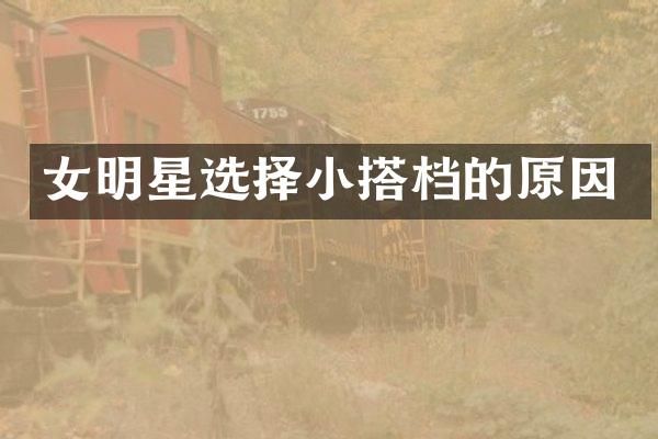 女明星选择小搭档的原因