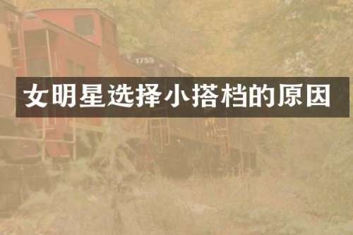 女明星选择小搭档的原因