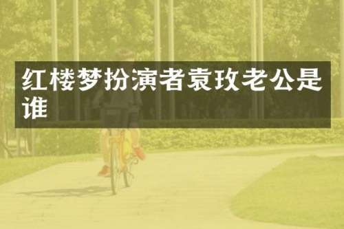 红楼梦扮演者袁玫老公是谁