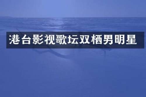 港台影视歌坛双栖男明星