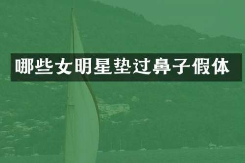 哪些女明星垫过鼻子假体
