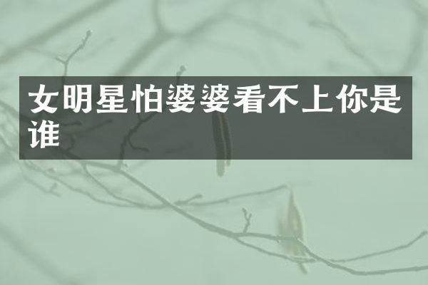 女明星怕婆婆看不上你是谁