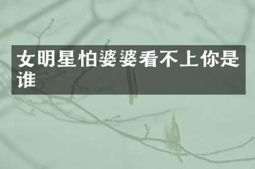 女明星怕婆婆看不上你是谁