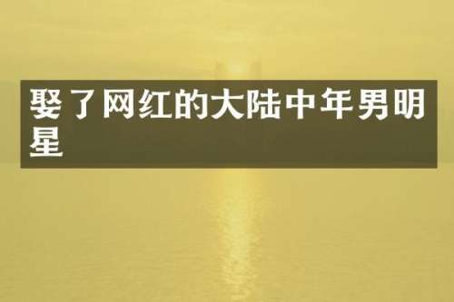 娶了网红的大陆中年男明星