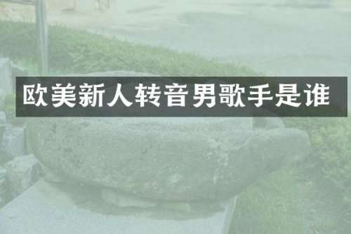 欧美新人转音男歌手是谁