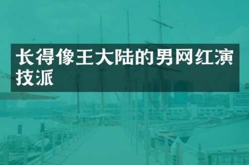 长得像王大陆的男网红演技派