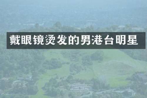 戴眼镜烫发的男港台明星
