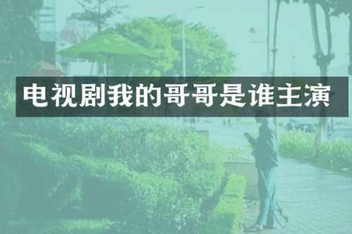 电视剧我的哥哥是谁主演