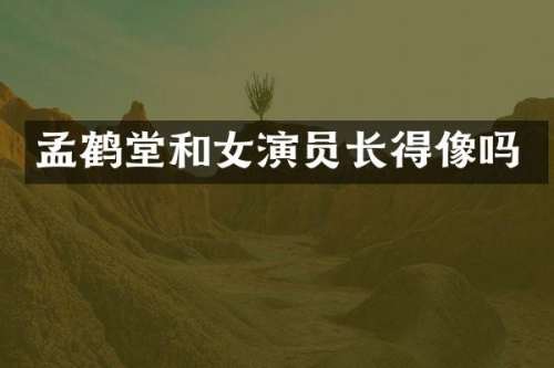 孟鹤堂和女演员长得像吗