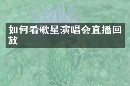 如何看歌星演唱会直播回放