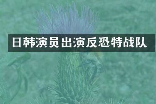 日韩演员出演特战队