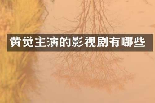 黄觉主演的影视剧有哪些