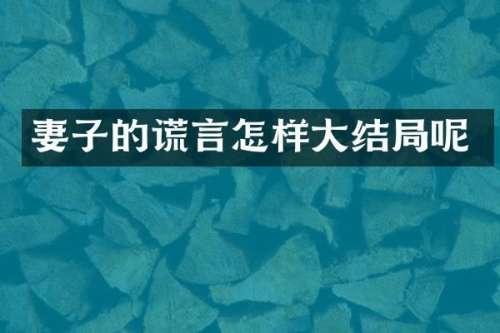 妻子的谎言怎样大结局呢