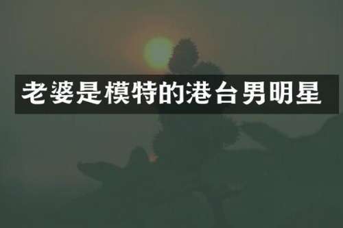 老婆是模特的港台男明星