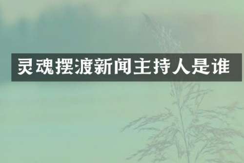 灵魂摆渡新闻主持人是谁