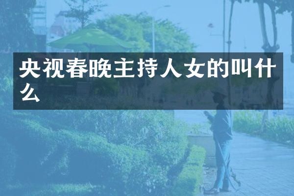 央视主持人女的叫什么