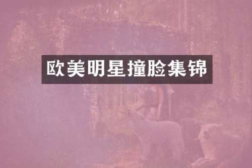欧美明星撞脸集锦