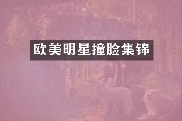 欧美明星撞脸集锦