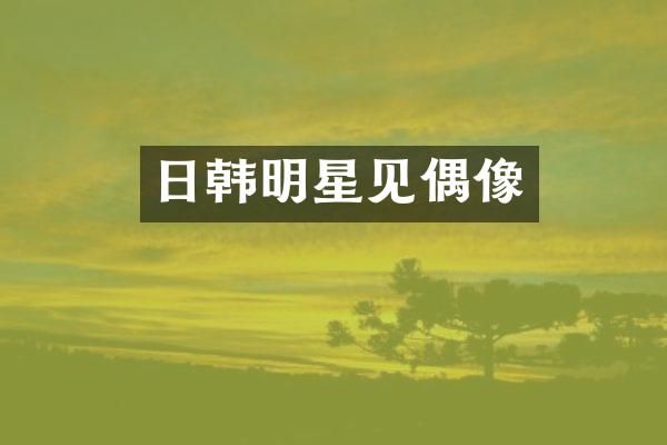 日韩明星见偶像