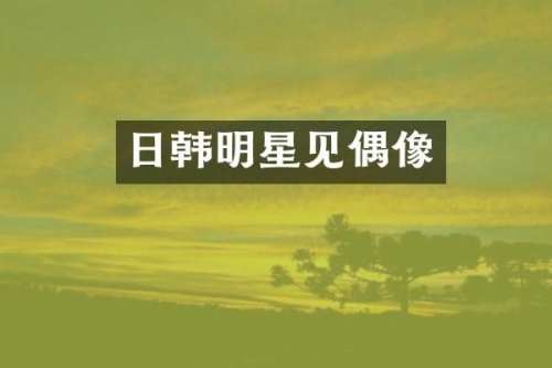 日韩明星见偶像