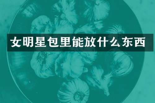 女明星包里能放什么东西