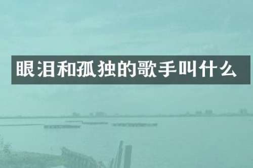 眼泪和孤独的歌手叫什么