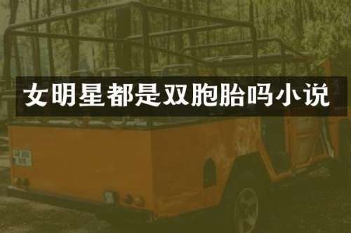 女明星都是双胞胎吗小说