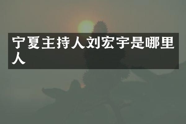 宁夏主持人刘宏宇是哪里人