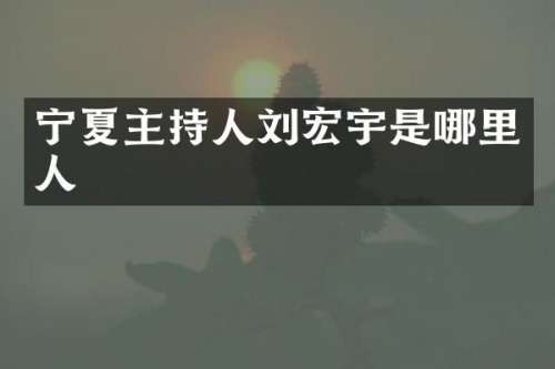 宁夏主持人刘宏宇是哪里人