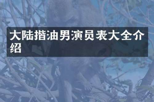 大陆揩油男演员表大全介绍