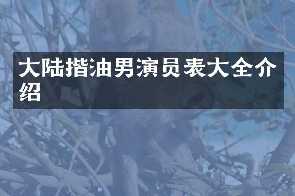大陆揩油男演员表大全介绍