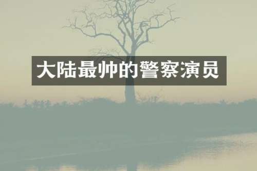 大陆最帅的警察演员