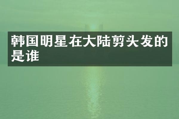 韩国明星在大陆剪头发的是谁