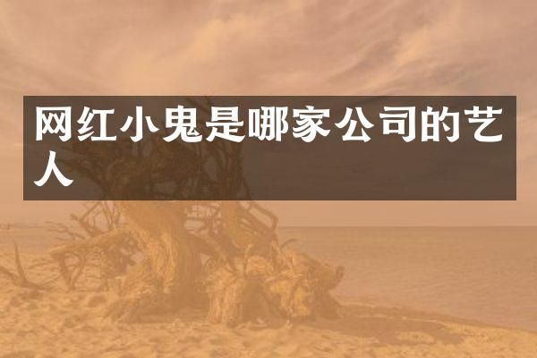 网红小鬼是哪家公司的艺人