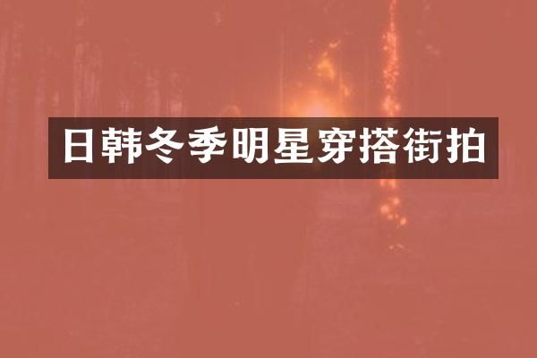 日韩冬季明星穿搭街拍