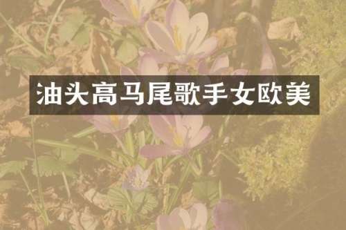 油头高马尾歌手女欧美