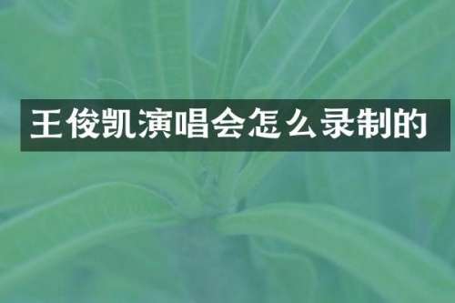 王俊凯演唱会怎么录制的