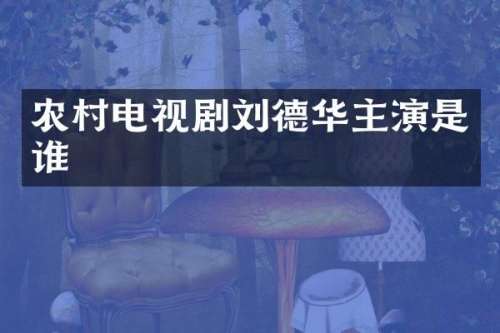 农村电视剧刘德华主演是谁