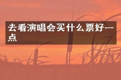 去看演唱会票好一点