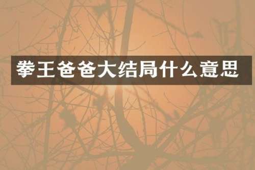 拳王爸爸大结局什么意思