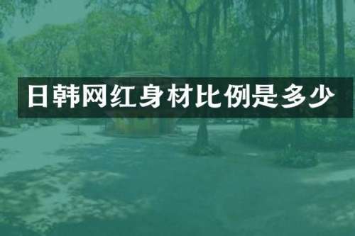 日韩网红身材比例是多少