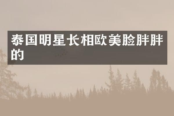 泰国明星长相欧美脸胖胖的