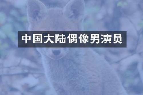 中国大陆偶像男演员