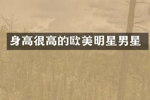 身高很高的欧美明星男星